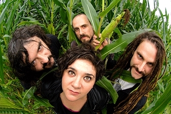Zea Mays, Cápsula y We Are Standard en Irun Rock 2014