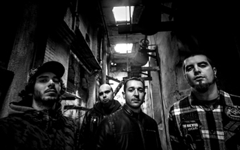 Primer larga duración de Darmage