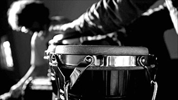 What is Music?, por un lenguaje común.