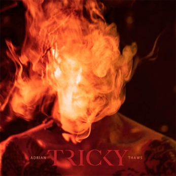 Tricky anuncia nuevo disco