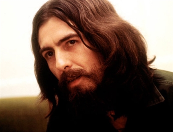 Un árbol en memoria de George Harrison muere por el ataque de unos escarabajos