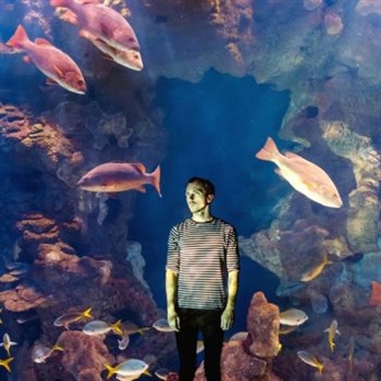 Primer videoclip del nuevo trabajo de Havoc