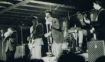 Reunión de los míticos 13th Floor Elevators