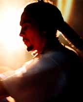 Bienvenido a la jungla