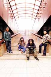 Sugarless le pierden miedo al vértigo