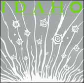 We Were Young And Needed The Money