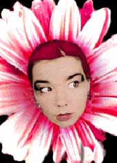 BJÖRK YA TIENE NUEVO DISCO