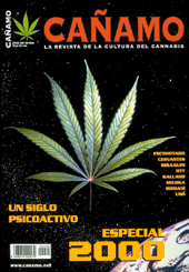 CAÑAMO 2000