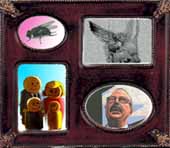 SUNNY DAY REAL ESTATE SE SEPARAN