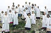 THE POLYPHONIC SPREE VIAJAN A DISNEYLAND