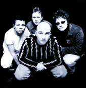 ADIOS A THE BOO RADLEYS