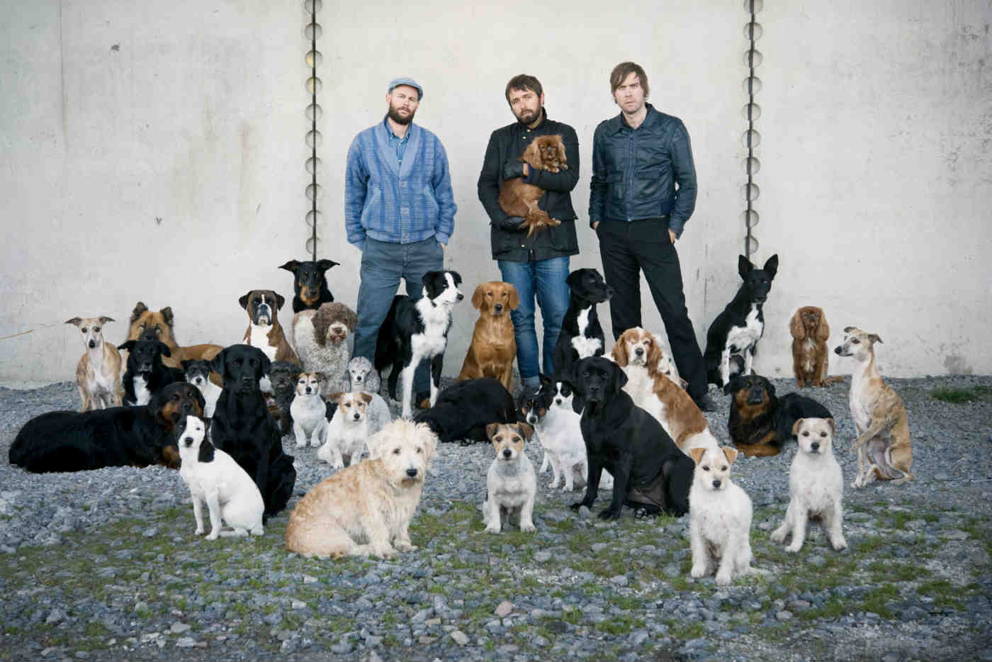 Peter Bjorn And John