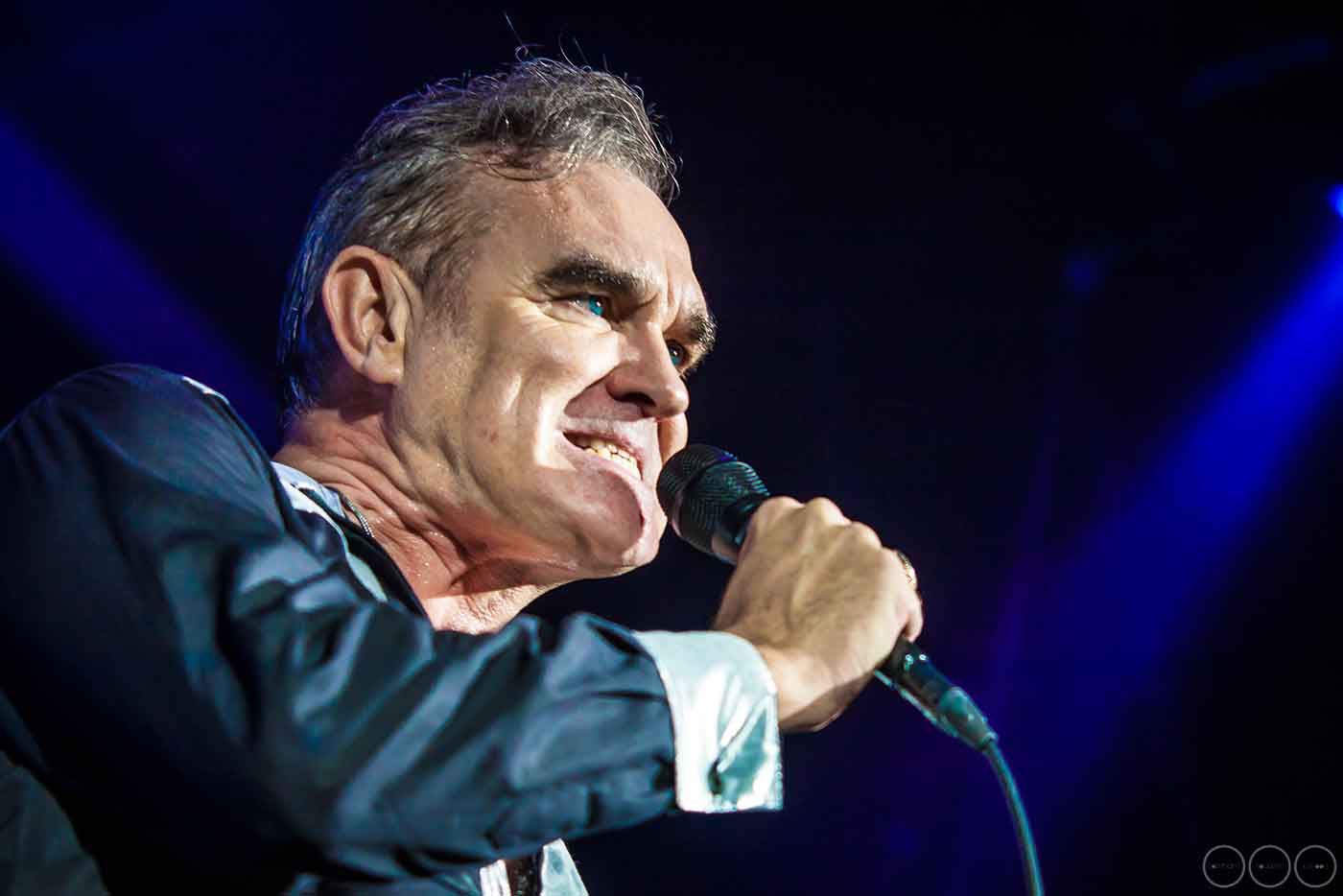Morrissey anuncia nuevo disco para noviembre