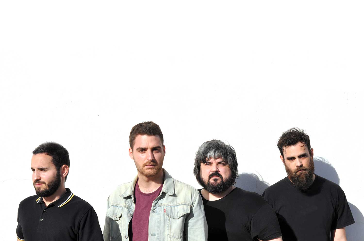 Nuevo video de Spheniscidae