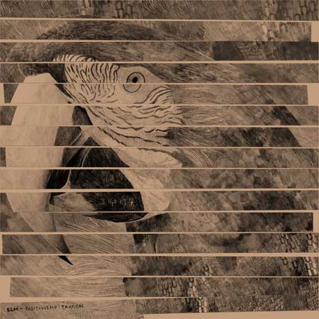 Positivismo Tropical