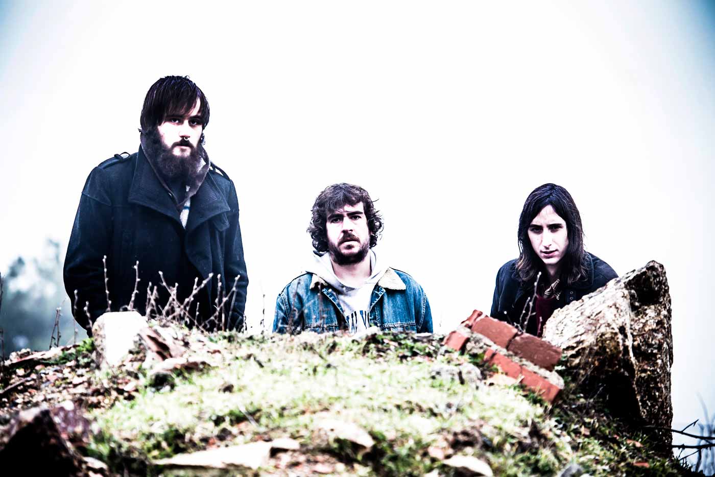 Disco Las Palmeras! vuelven con nuevo single