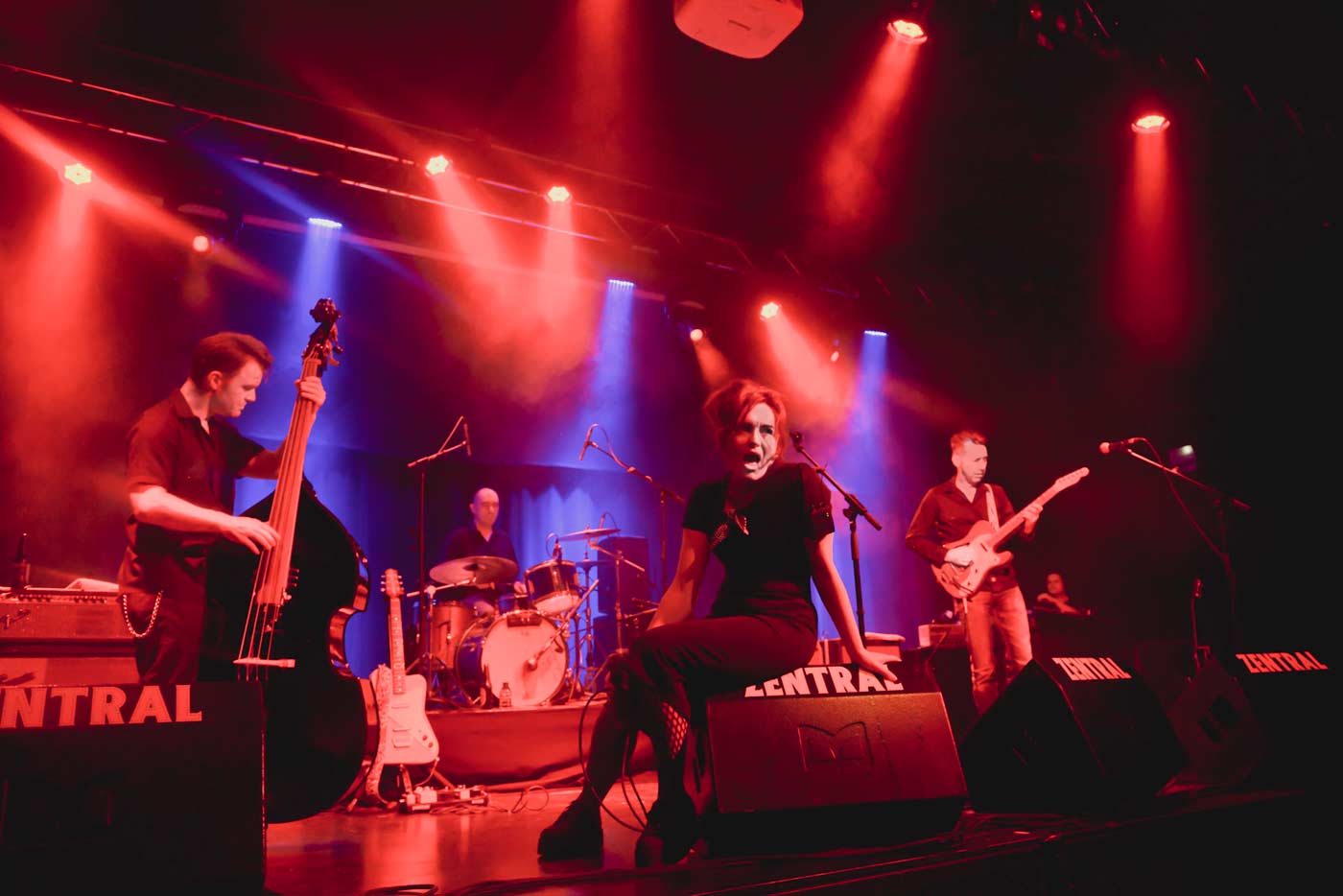 Renovando las raíces