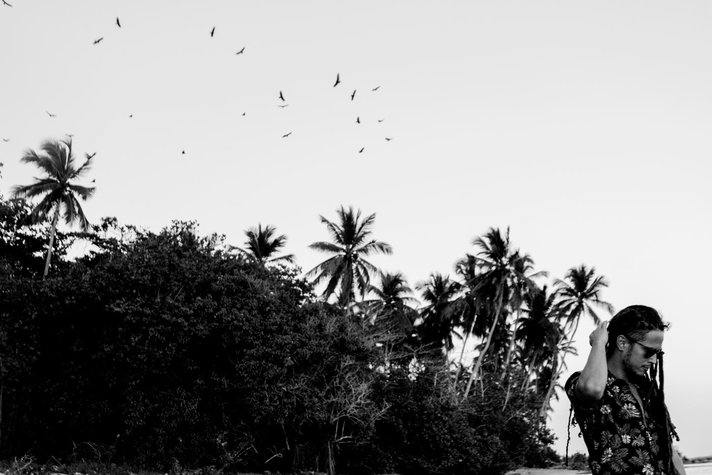 Los cimientos de "A La Mar"