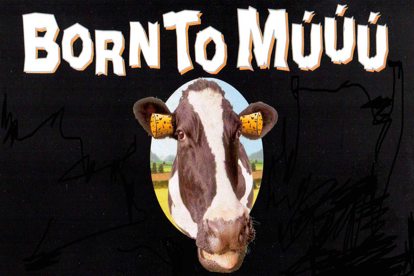 El nuevo Doctor Music Festival se presenta en sociedad