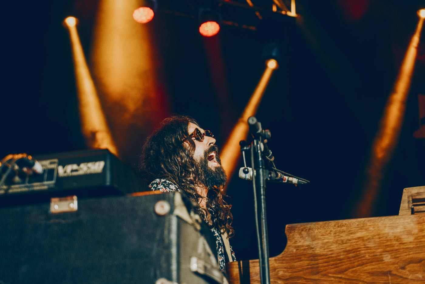 Llega una nueva edición de The Wild Fest