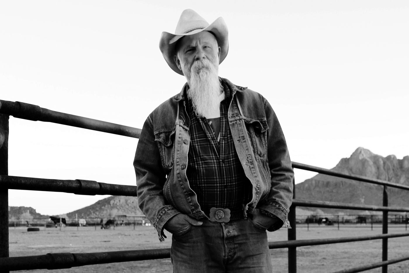 Vuelve el Cruïlla de Tardor