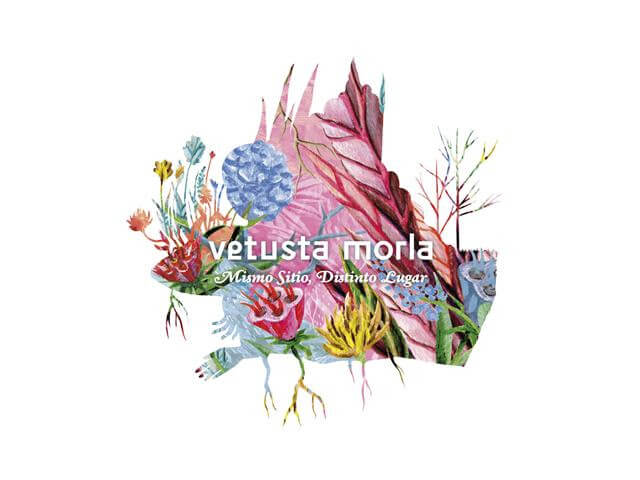 vetusta morla 