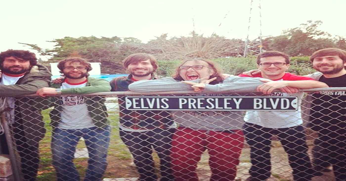 Noise 'n ' Confusion, salvaje.