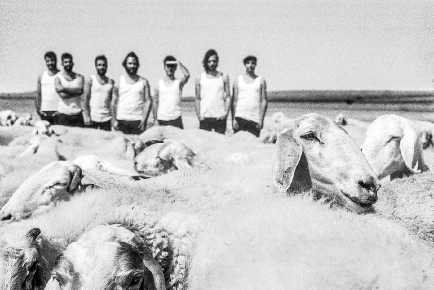 La M.O.D.A anuncian un nuevo EP producido por Steve Albini