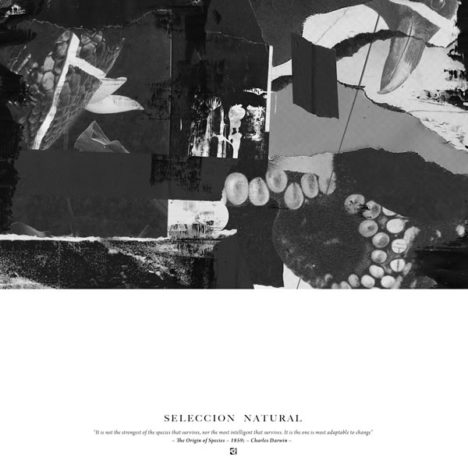 Selección Natural. PoleGroup.