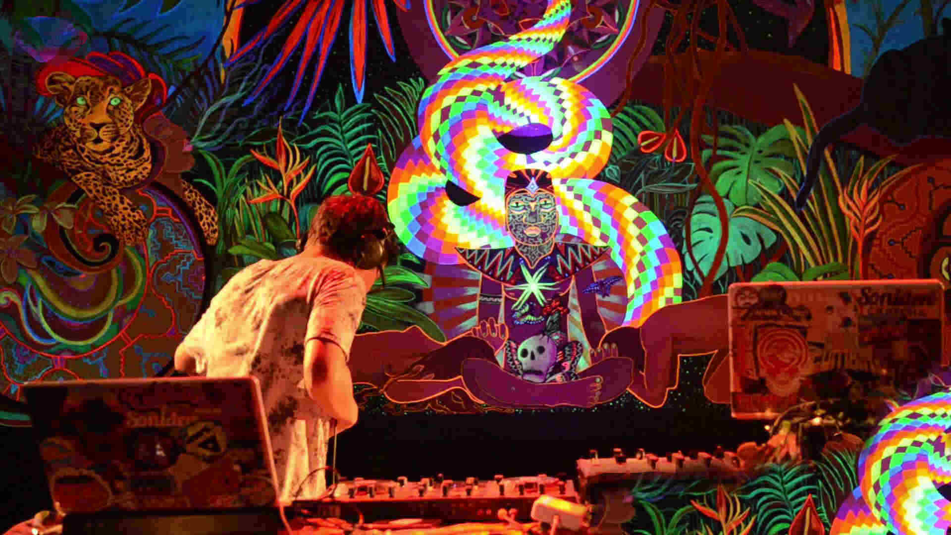 Guacamayo Tropical vuelve a Cantabria