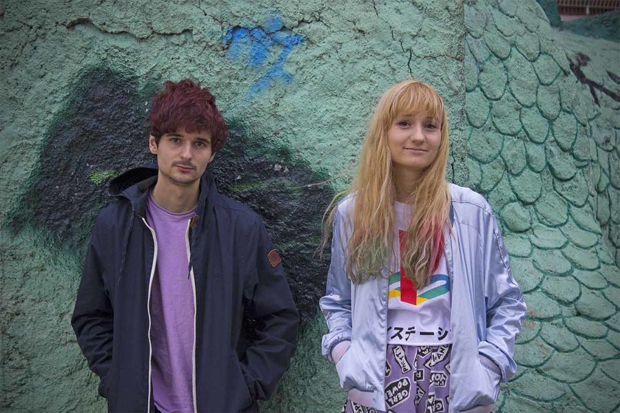 Axolotes Mexicanos 2018