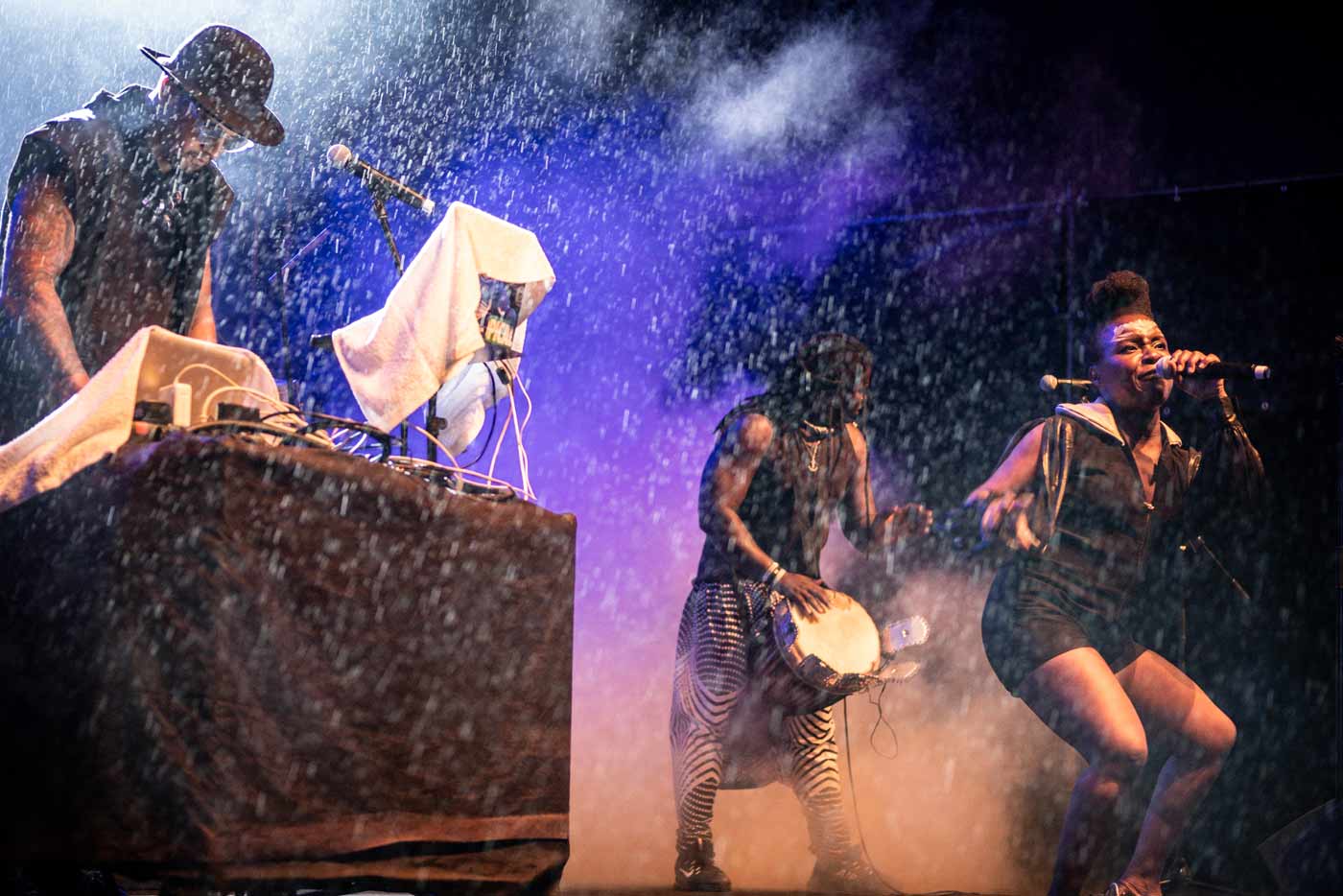 Nueva edición del MED portugués