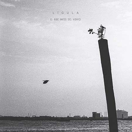 El aire antes del viento