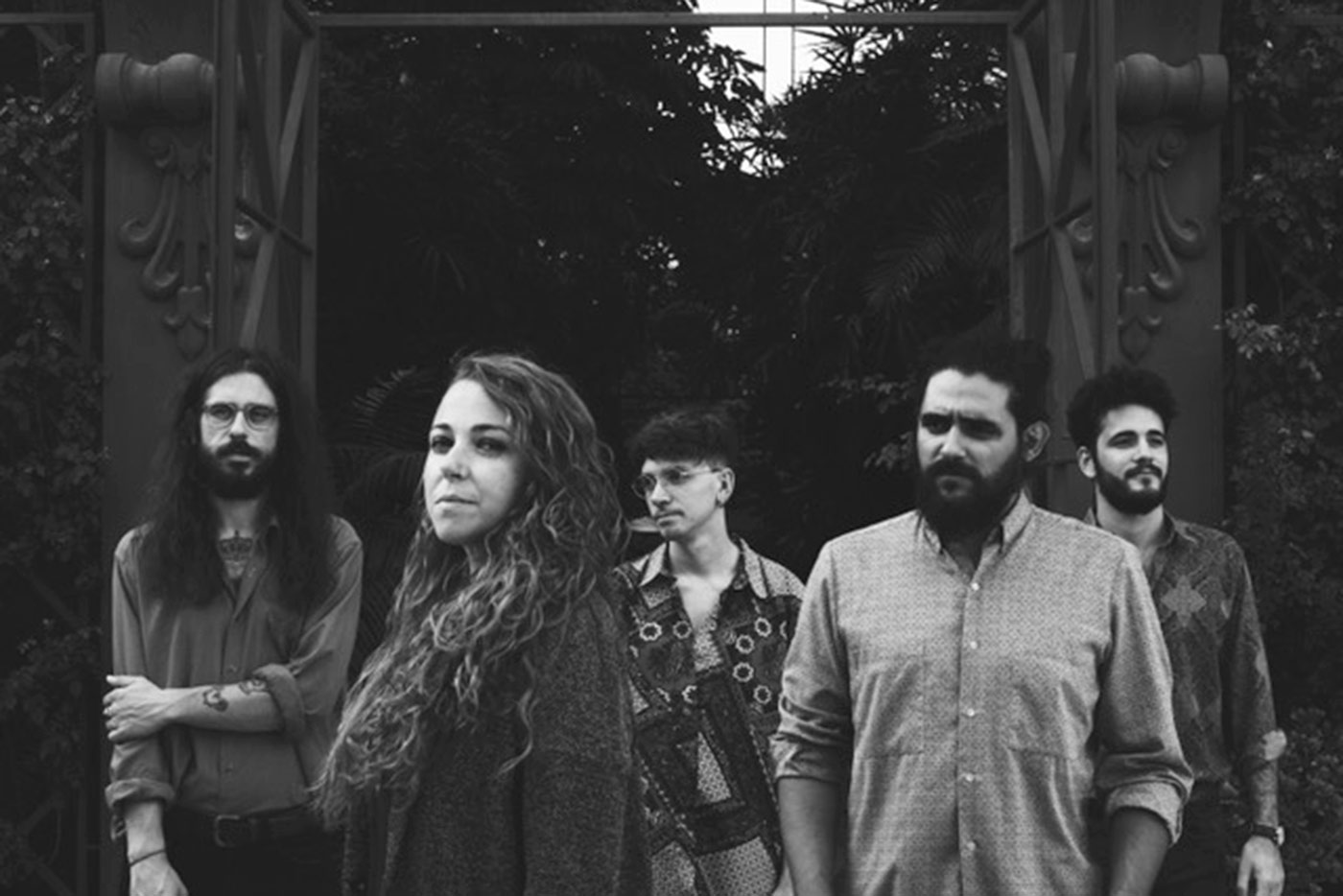 Estrenamos el video de la canción Sanseveria