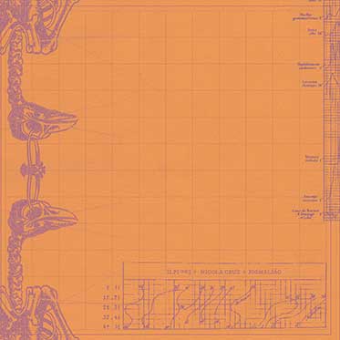 Nicola Cruz / Pigmalião