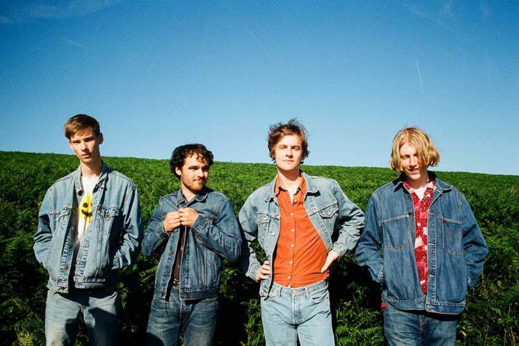 Buzzard Buzzard Buzzard