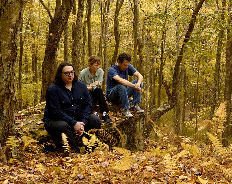 "Sleepless Night", nuevo EP de versiones de Yo La Tengo