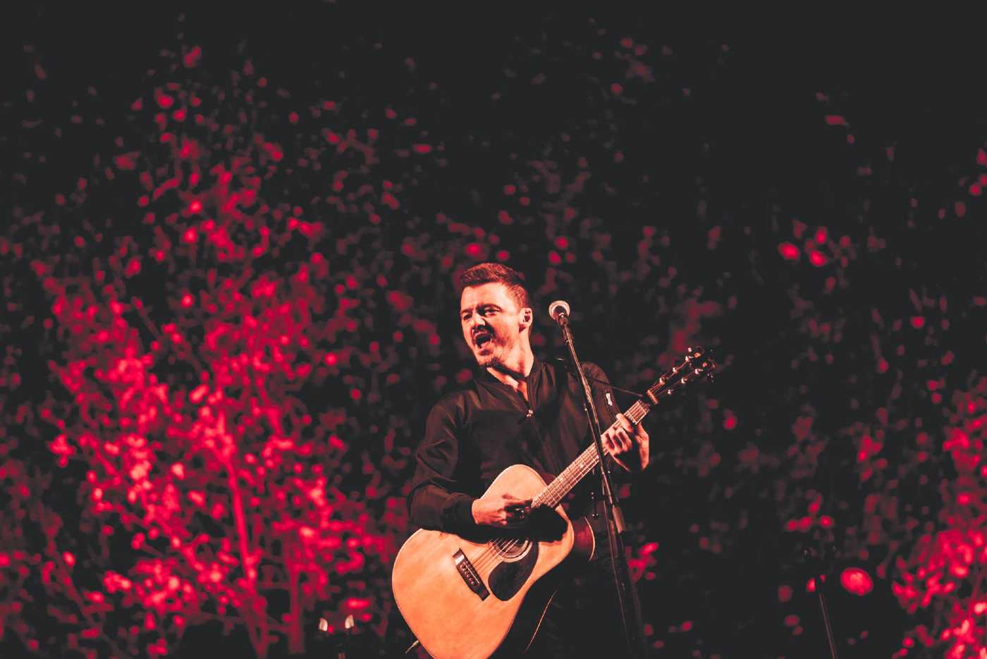 Música e intimidad en un claro del bosque