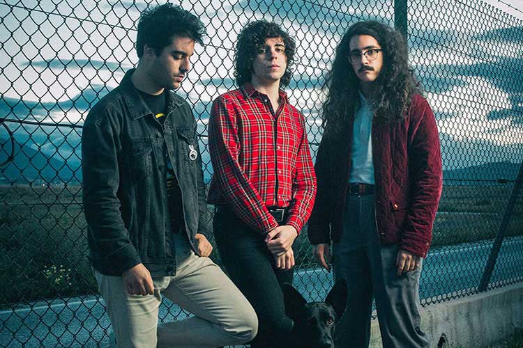 "No tenemos la voluntad de decir a nadie lo que tiene que sentir ni pensar"