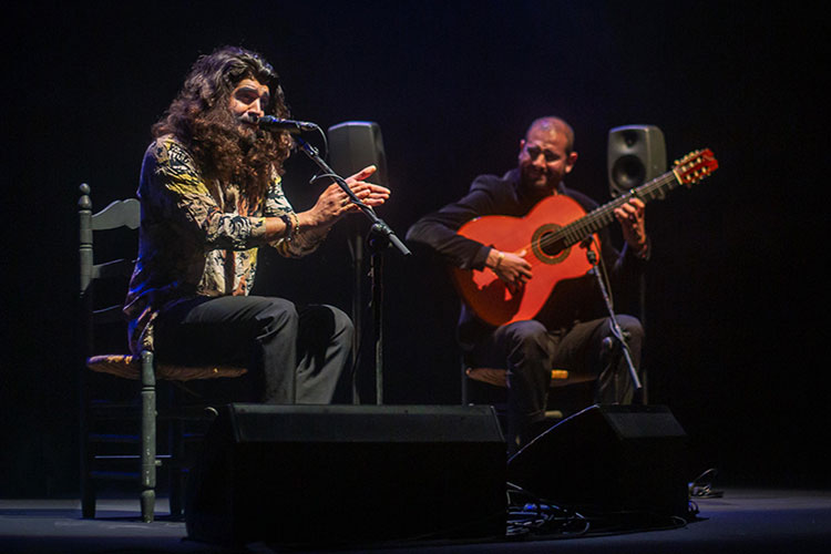 Bulerías, cante y toque