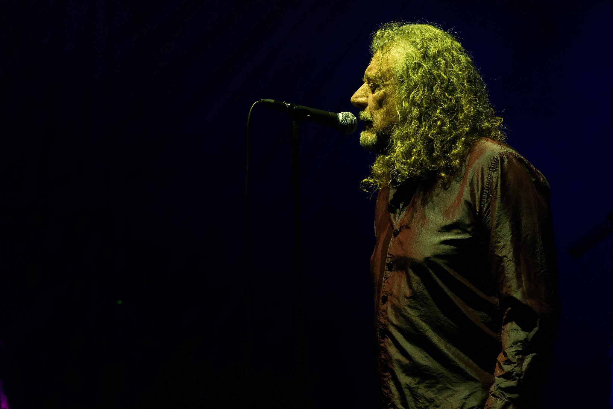 Robert Plant selecciona material para publicar gratis tras su muerte