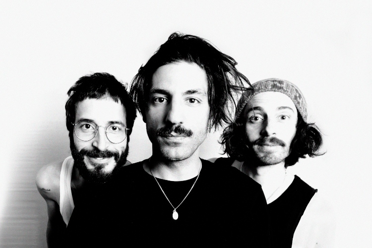 Sexy Zebras entonan nuevo himno con "O todos o ninguno"