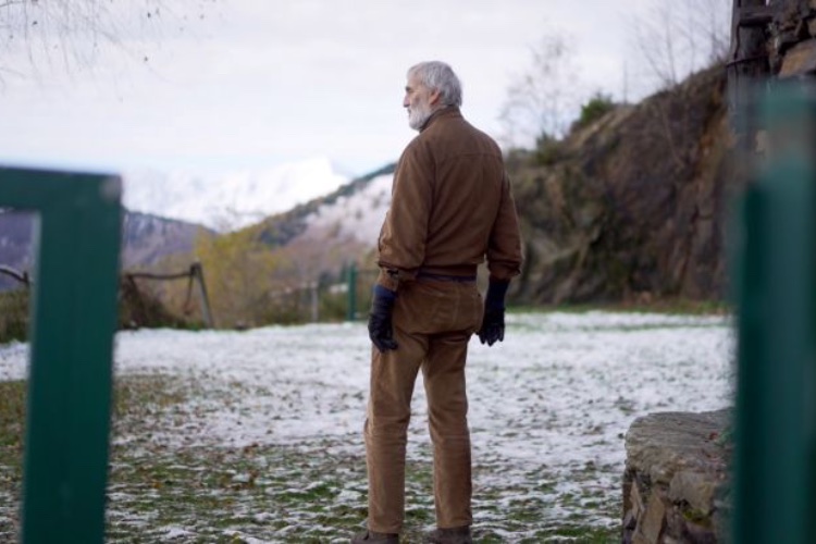 Dock of the Bay: Se impone el cine independiente