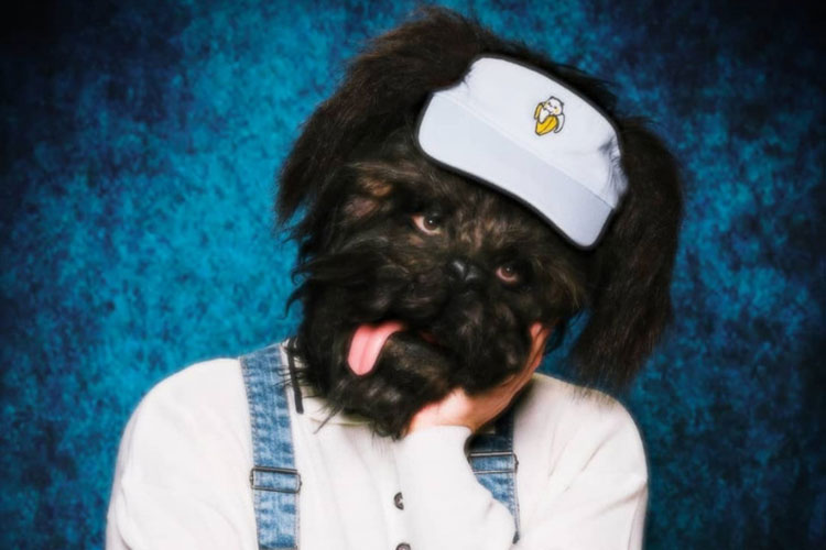 Películas Geniales anuncian su próximo Ep con "Alegría"