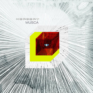 Musca