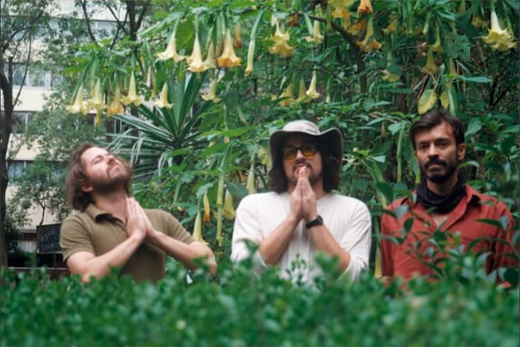 Los mexicanos O Tortuga publican su single "Enamorado y Bendito"