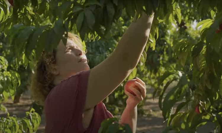 El D'A Film Festival Barcelona comenzará el 28 de abril