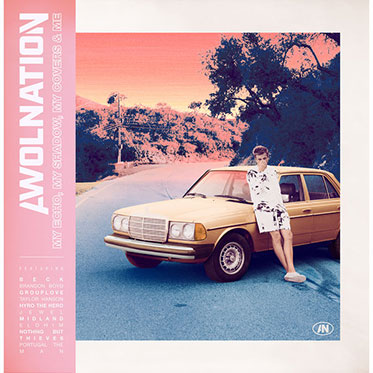 My Echo, My Shadow, My Covers And Me