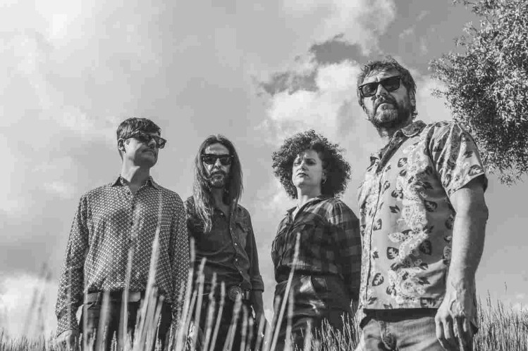 Peninsular versionan el “White Rabbit” de Jefferson Airplane