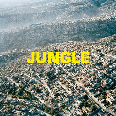 blaze jungle